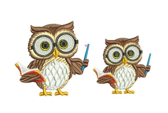 Owl: A Balanced Assessment for Informed Decision-Making