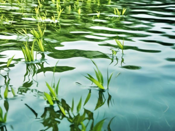 The Versatility of Water Surface Texture Background in Digital Design